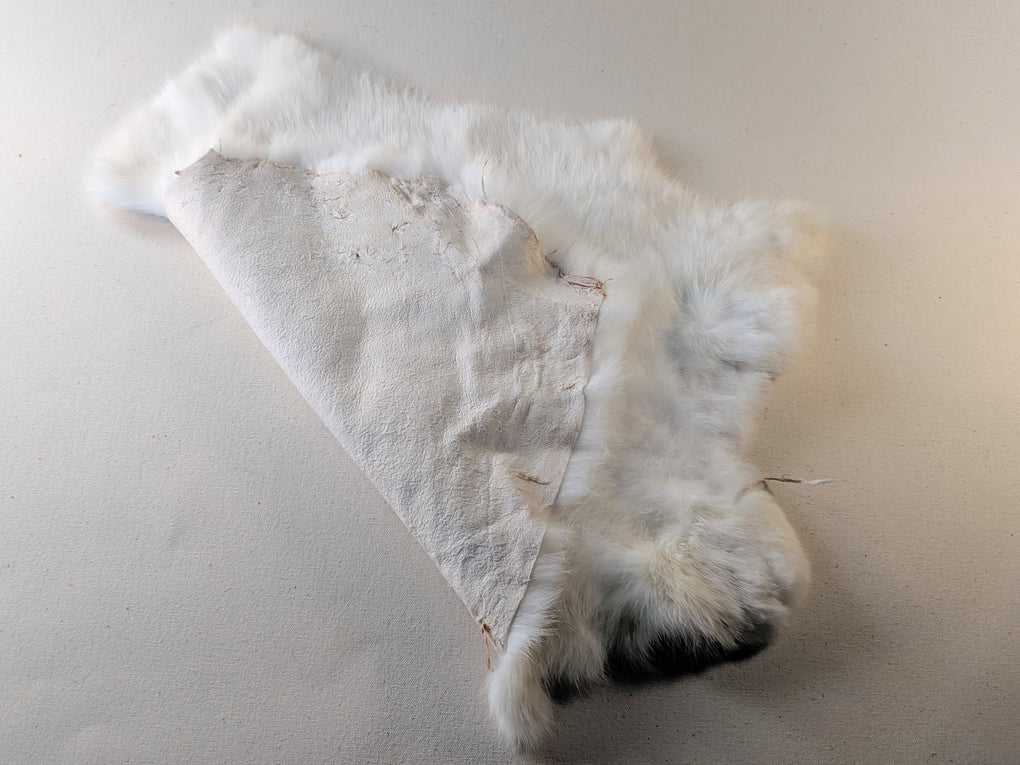 Fur Rabbit Pelt